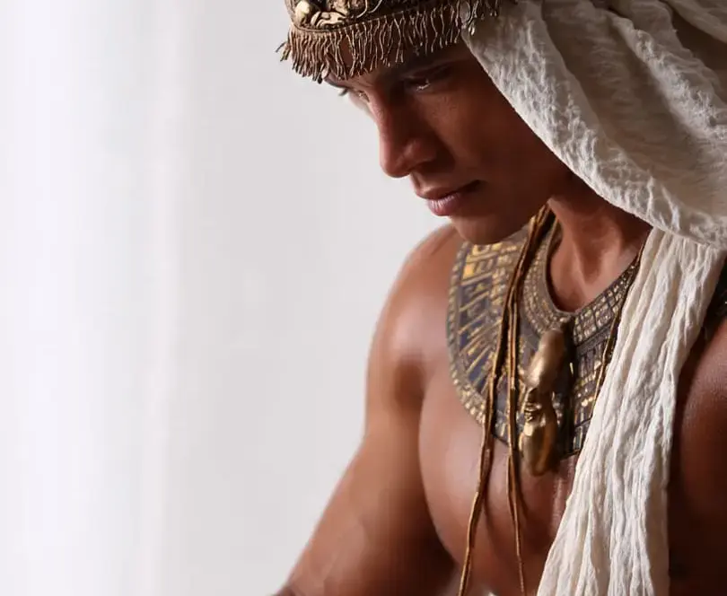 Web Development experts, Udjat agency