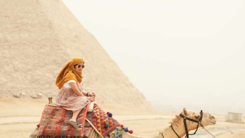 Social Media Marketing Agency in Sheikh Zayed