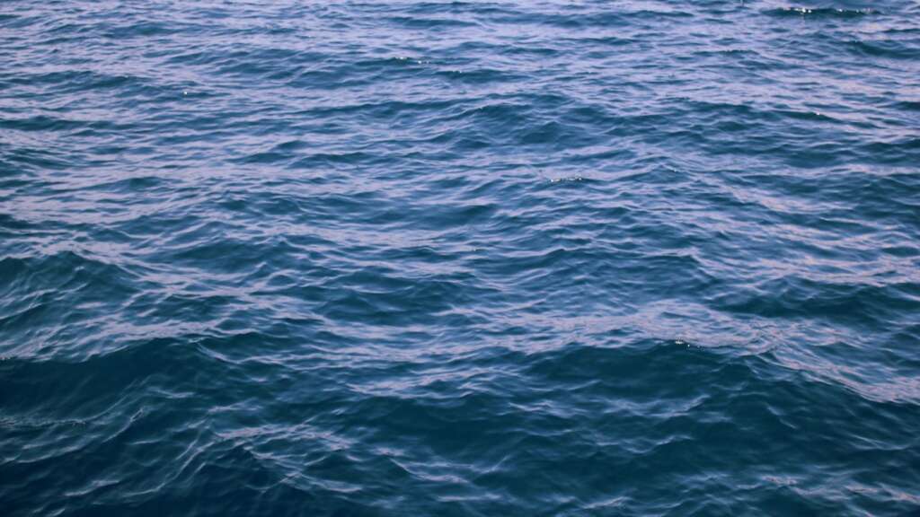 How to Be a Trusted Reference for Google: The CEO’s Blueprint to Authority, Visibility, and Dominance