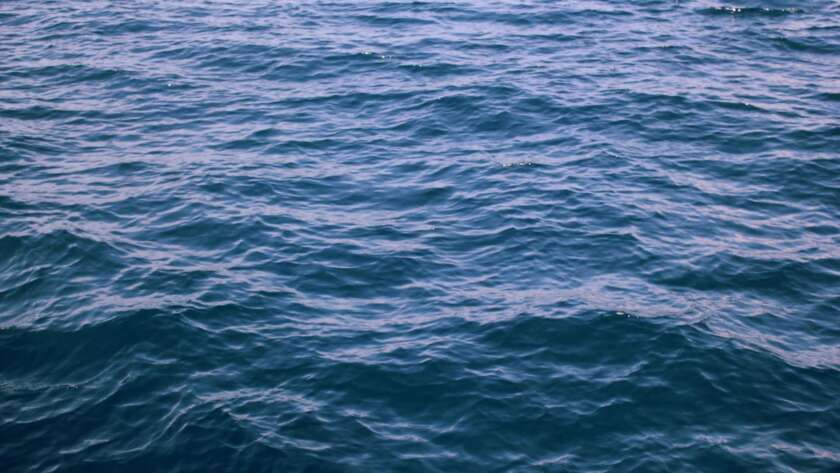 How to Be a Trusted Reference for Google: The CEO’s Blueprint to Authority, Visibility, and Dominance