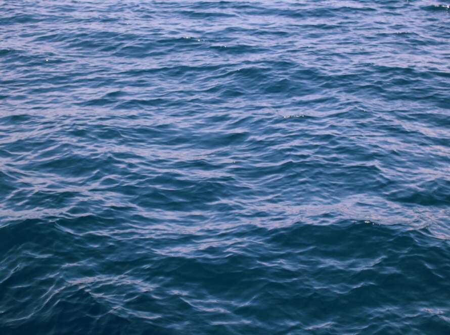 How to Be a Trusted Reference for Google: The CEO’s Blueprint to Authority, Visibility, and Dominance