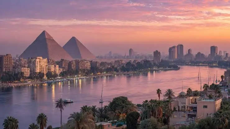 Who is Best SEO Agency in Cairo? Complete Guide (2026 Edition)
