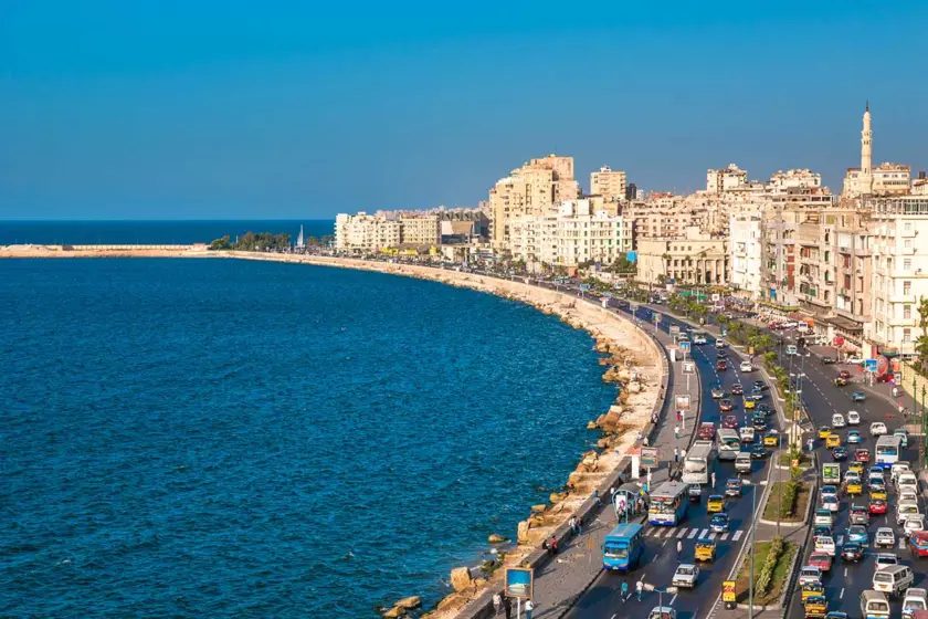 Social Media Marketing Packages in Alexandria: Compare Services, Costs and the Right Package for Your Business