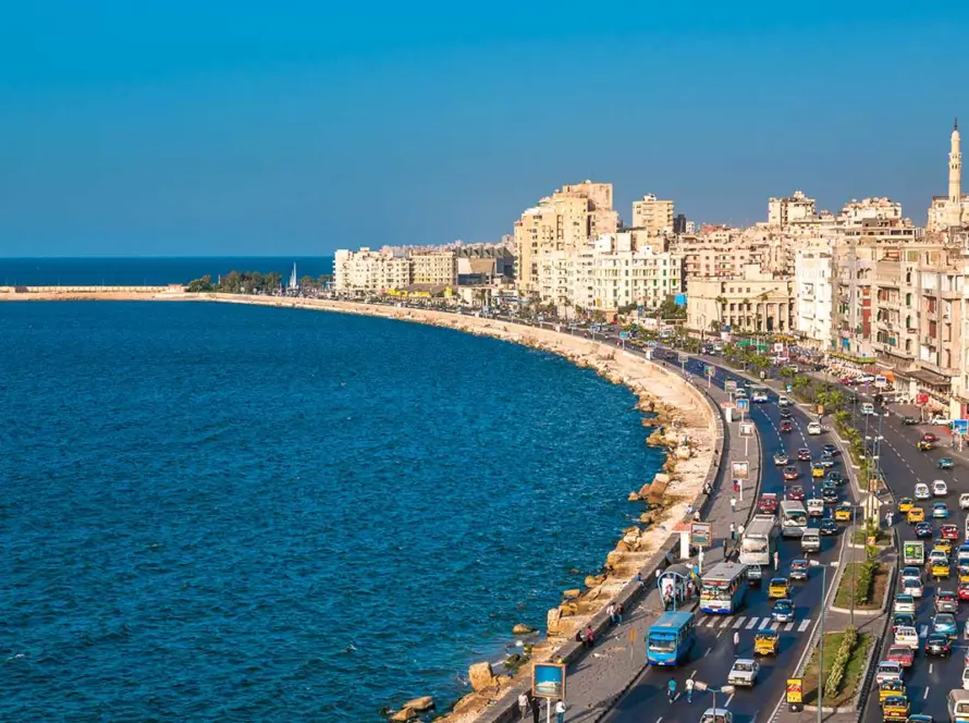 Social Media Marketing Packages in Alexandria: Compare Services, Costs and the Right Package for Your Business